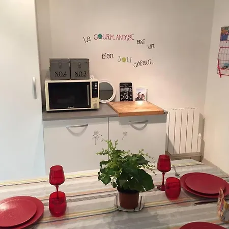 Grand Duplex T3 Au Calme. Apartment